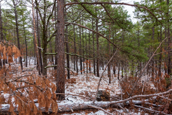 property photo for Stone Bridge Phase IV Tract 236, 6.09 acres for sale in LatimerHaskell County, Oklahoma