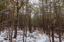 property photo for Stone Bridge Phase IV Tract 236, 6.09 acres for sale in LatimerHaskell County, Oklahoma