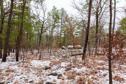 property photo for Stone Bridge Phase IV Tract 237, 5.75 acres for sale in LatimerHaskell County, Oklahoma