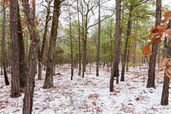 property photo for Stone Bridge Phase IV Tract 237, 5.75 acres for sale in LatimerHaskell County, Oklahoma