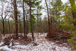 property photo for Stone Bridge Phase IV Tract 238, 6.18 acres for sale in LatimerHaskell County, Oklahoma
