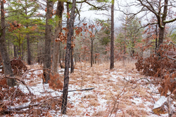 property photo for Stone Bridge Phase IV Tract 238, 6.18 acres for sale in LatimerHaskell County, Oklahoma