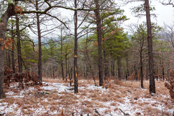 property photo for Stone Bridge Phase IV Tract 238, 6.18 acres for sale in LatimerHaskell County, Oklahoma