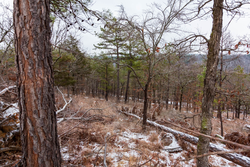 property photo for Stone Bridge Phase IV Tract 238, 6.18 acres for sale in LatimerHaskell County, Oklahoma