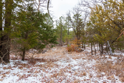 property photo for Stone Bridge Phase IV Tract 240, 7.7 acres for sale in LatimerHaskell County, Oklahoma