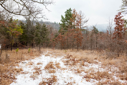 property photo for Stone Bridge Phase IV Tract 240, 7.7 acres for sale in LatimerHaskell County, Oklahoma