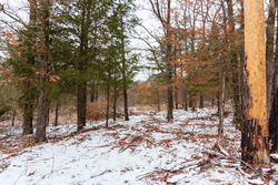property photo for Stone Bridge Phase IV Tract 240, 7.7 acres for sale in LatimerHaskell County, Oklahoma