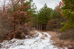 property photo for Stone Bridge Phase IV Tract 240, 7.7 acres for sale in LatimerHaskell County, Oklahoma
