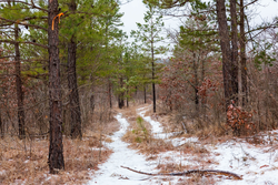 property photo for Stone Bridge Phase IV Tract 240, 7.7 acres for sale in LatimerHaskell County, Oklahoma