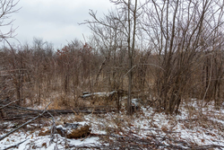 property photo for Stone Bridge Phase IV Tract 240, 7.7 acres for sale in LatimerHaskell County, Oklahoma
