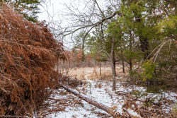 property photo for Stone Bridge Phase IV Tract 240, 7.7 acres for sale in LatimerHaskell County, Oklahoma