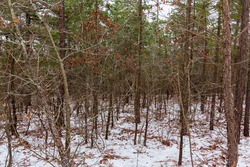 property photo for Stone Bridge Phase IV Tract 250, 5.91 acres for sale in LatimerHaskell County, Oklahoma