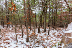 property photo for Stone Bridge Phase IV Tract 250, 5.91 acres for sale in LatimerHaskell County, Oklahoma
