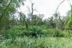 property photo for Stone Bridge Phase V Tract 334, 8.33 acres for sale in LatimerHaskell County, Oklahoma
