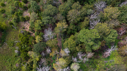 property photo for Stone Bridge Phase V Tract 334, 8.33 acres for sale in LatimerHaskell County, Oklahoma