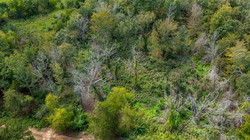 property photo for Stone Bridge Phase V Tract 334, 8.33 acres for sale in LatimerHaskell County, Oklahoma