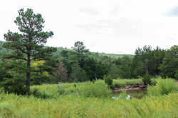 property photo for Stone Bridge Phase V Tract 334, 8.33 acres for sale in LatimerHaskell County, Oklahoma