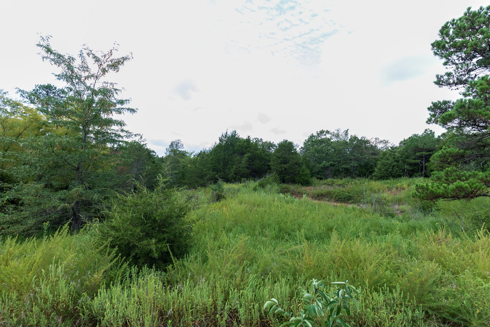 8.33 acre rural land tract for sale at Stone Bridge Phase V Tract 334 in LatimerHaskell County, Oklahoma