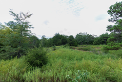property photo for Stone Bridge Phase V Tract 334, 8.33 acres for sale in LatimerHaskell County, Oklahoma