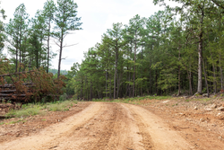 property photo for Stone Bridge Phase V Tract 403, 5.5 acres for sale in LatimerHaskell County, Oklahoma