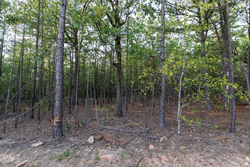 property photo for Stone Bridge Phase V Tract 403, 5.5 acres for sale in LatimerHaskell County, Oklahoma