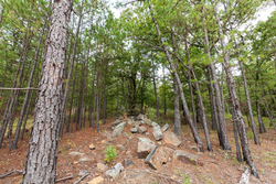 property photo for Stone Bridge Phase V Tract 403, 5.5 acres for sale in LatimerHaskell County, Oklahoma