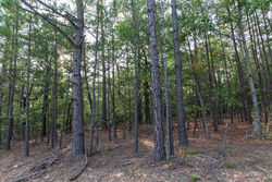 property photo for Stone Bridge Phase V Tract 403, 5.5 acres for sale in LatimerHaskell County, Oklahoma