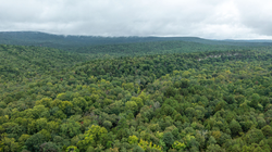 property photo for Stone Bridge Phase V Tract 406, 8.14 acres for sale in LatimerHaskell County, Oklahoma