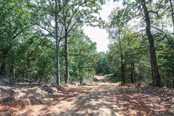 property photo for Stone Bridge Phase V Tract 406, 8.14 acres for sale in LatimerHaskell County, Oklahoma