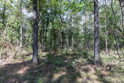property photo for Stone Bridge Phase V Tract 407, 6.64 acres for sale in LatimerHaskell County, Oklahoma