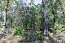 property photo for Stone Bridge Phase V Tract 407, 6.64 acres for sale in LatimerHaskell County, Oklahoma
