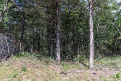 property photo for Stone Bridge Phase V Tract 407, 6.64 acres for sale in LatimerHaskell County, Oklahoma