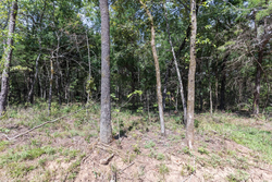 property photo for Stone Bridge Phase V Tract 407, 6.64 acres for sale in LatimerHaskell County, Oklahoma
