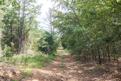 property photo for Stone Bridge Phase V Tract 407, 6.64 acres for sale in LatimerHaskell County, Oklahoma