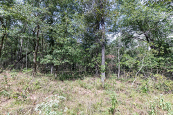 property photo for Stone Bridge Phase V Tract 407, 6.64 acres for sale in LatimerHaskell County, Oklahoma