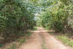 property photo for Stone Bridge Phase V Tract 407, 6.64 acres for sale in LatimerHaskell County, Oklahoma