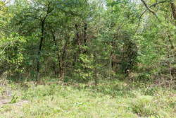 property photo for Stone Bridge Phase V Tract 409, 4.88 acres for sale in LatimerHaskell County, Oklahoma