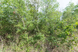 property photo for Stone Bridge Phase V Tract 409, 4.88 acres for sale in LatimerHaskell County, Oklahoma