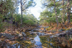 property photo for Stone Bridge Phase V Tract 409, 4.88 acres for sale in LatimerHaskell County, Oklahoma