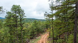 property photo for Stone Bridge Phase V Tract 409, 4.88 acres for sale in LatimerHaskell County, Oklahoma