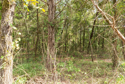 property photo for Stone Bridge Phase V Tract 409, 4.88 acres for sale in LatimerHaskell County, Oklahoma