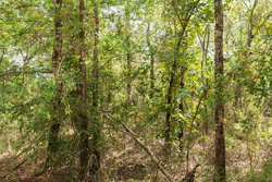 property photo for Stone Bridge Phase V Tract 409, 4.88 acres for sale in LatimerHaskell County, Oklahoma