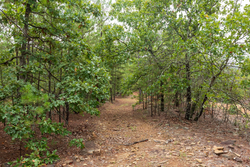 property photo for Stone Bridge Phase V Tract 416, 4.76 acres for sale in LatimerHaskell County, Oklahoma