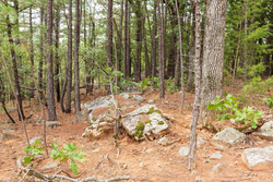 property photo for Stone Bridge Phase V Tract 416, 4.76 acres for sale in LatimerHaskell County, Oklahoma