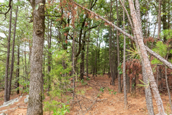 property photo for Stone Bridge Phase V Tract 416, 4.76 acres for sale in LatimerHaskell County, Oklahoma