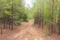 property photo for Stone Bridge Phase V Tract 416, 4.76 acres for sale in LatimerHaskell County, Oklahoma