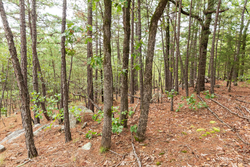 property photo for Stone Bridge Phase V Tract 416, 4.76 acres for sale in LatimerHaskell County, Oklahoma