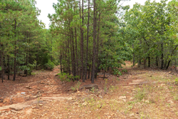property photo for Stone Bridge Phase V Tract 416, 4.76 acres for sale in LatimerHaskell County, Oklahoma