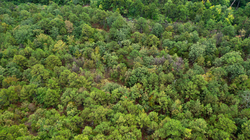 property photo for Stone Bridge Phase V Tract 416, 4.76 acres for sale in LatimerHaskell County, Oklahoma