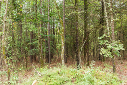 property photo for Stone Bridge Phase V Tract 416, 4.76 acres for sale in LatimerHaskell County, Oklahoma